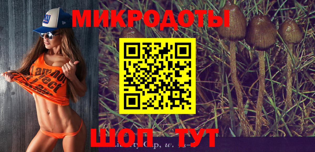 Галлюциногенные грибы Psilocybe Новосибирск