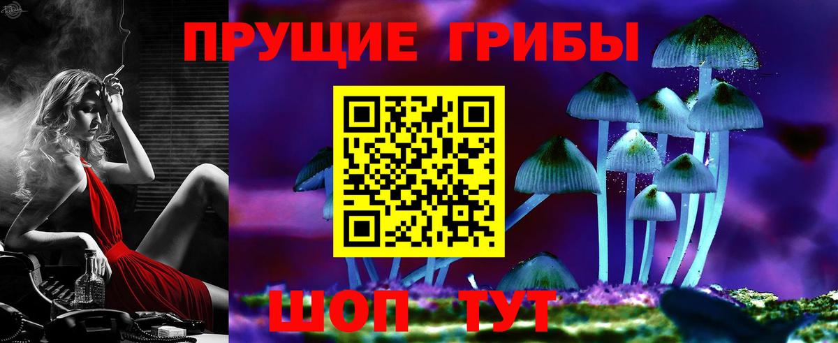 Новосибирск  Псилоцибиновые грибы MAGIC MUSHROOMS  Псилоцибиновые грибы Magic Shrooms  Вход с VPN 